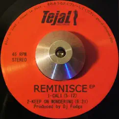 Reminisce - Single by DJ Fudge album reviews, ratings, credits