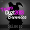 Team Dustbunnies 2013 - OsloKid lyrics