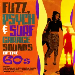 Fuzz, Psych & Surf - Garage Sounds of the 60's by Various Artists album reviews, ratings, credits