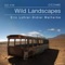 Anatolian Lands - Eric Löhrer & Didier Malherbe lyrics