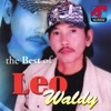 The Best of Leo Waldy, 2014