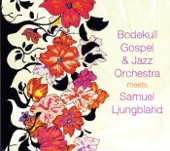 Bodekull Gospel & Jazz Orchestra Meets Samuel Ljungblahd artwork
