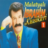 Yalnızlığın Acısını artwork