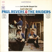 Paul Revere & The Raiders - Out of Sight