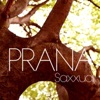 Saxxual (2014 Edit) - Single