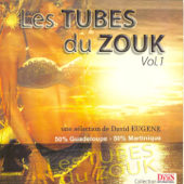 Les tubes du zouk - Une sélection de David Eugene, vol. 1 (50% Guadeloupe 50% Martinique) - Multi-interprètes