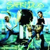 Safri Duo - played-a-live
