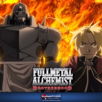 Fullmetal Alchemist: Brotherhood (TV Series 2009–2010) - News - IMDb