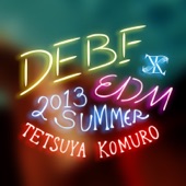 DEBF EDM 2013 SUMMER artwork