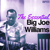 The Essential Joe Williams - Big Joe Williams