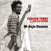 Yunior Terry - Tumba Randy