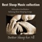 Sleep Music - Sleep Music Dream lyrics