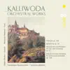Kalliwoda: Orchestral Works album lyrics, reviews, download