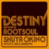 DESTINY replayed by ROOT SOUL