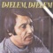 Dade Dade - Saban Bajramovic lyrics