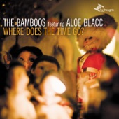 The Bamboos - I Got Burned (feat. Tim Rogers)