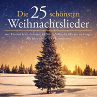Verschiedene Interpreten - Die 25 schönsten Weihnachtslieder artwork
