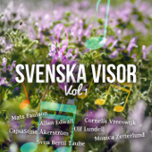 Svenska Visor, Vol. 1 - Various Artists