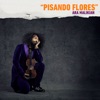 Ara Malikian: Pisando Flores - Single