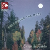 Following the Moon artwork