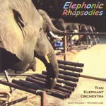 Thai Elephant Orchestra /Dave Soldier / Richard Lair - A Child's Guide to the Elephant Orchestra