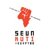 Seun Kuti & Egypt 80 - Black Woman