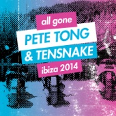 All Gone Pete Tong & Tensnake Ibiza 2014 Pete Tong Continuous Mix artwork