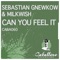 Can You Feel It (Sebastian Gnewkow Remix) - Sebastian Gnewkow & Milkwish lyrics