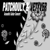 Patchouly & Vetyver (Acoustic Guitar Concert) - Riccardo Zappa