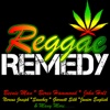 Reggae Remedy, 2012