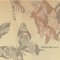 飛び立った7頭の蝶たち -Sept papillons ont pris leur envol- ジャケット写真