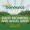 Angel of the Morning - David Bromberg with Angel Band lyrics