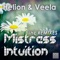 Mistress Intuition (DJ Dalysovich Remix) - Helion & Veela lyrics