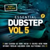Essential Dubstep Vol. 5 (Best of Underground Dubstep / Brostep 2013), 2013