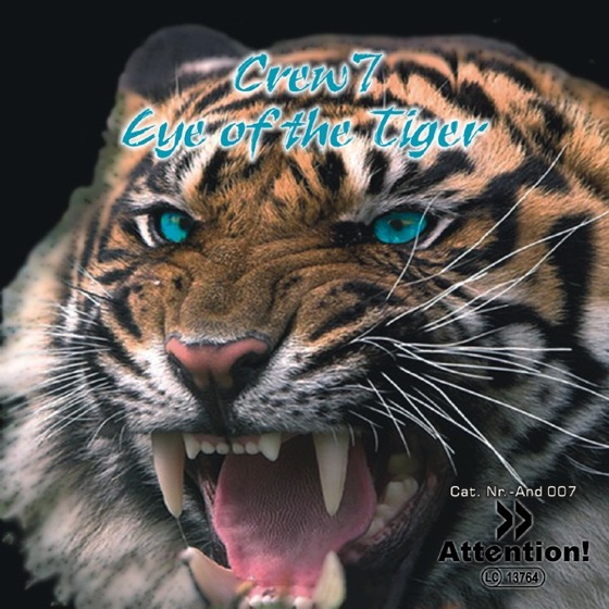 Cover artwork for Eye of the Tiger