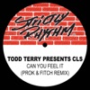 Todd Terry Presents: Can You Feel It (Prok & Fitch Remix) - Single