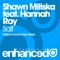 Salt (Original Vocal Mix) [feat. Hannah Ray] - Shawn Mitiska lyrics