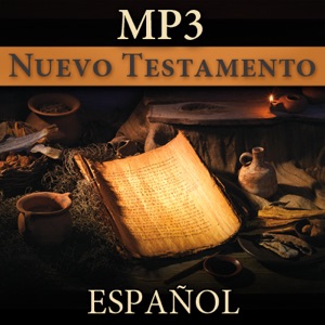 Mateo 01