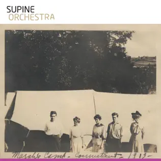 télécharger l'album Supine Orchestra - Mareks Camp