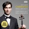 Concerto for Viola and Cello in G Major, VB 153a: I. Allegro moderato e cantabile artwork