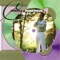 All the Glory - Carroll Roberson lyrics