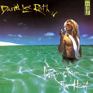 DAVID LEE ROTH