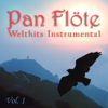 Time of My Life (Instrumental) - Pan Flöte