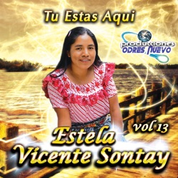 Estela Vicente Sontay - Tu Nombre Levantare