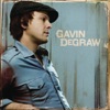 Gavin DeGraw artwork