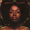 Sometimes I Feel Like A Motherless Child (LP Version)  - Jimmy Scott 