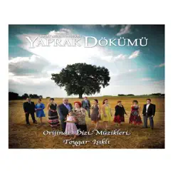 Yaprak Dökümü Orijinal Dizi Müzikleri by Toygar Işıklı album reviews, ratings, credits