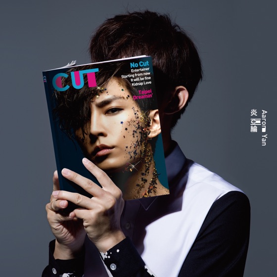 Cover artwork for Taipei Dreamin'