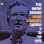 Noam Chomsky - Subsidies