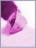 Spell it forwards cover